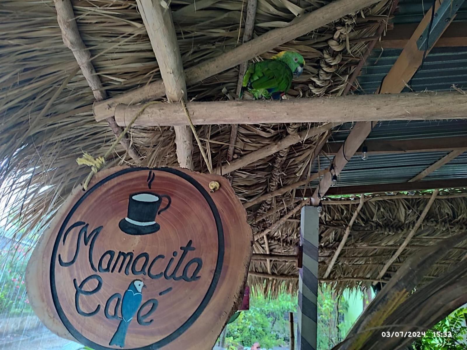 Отель Mamacita Cafe House Мойогальпа Экстерьер фото